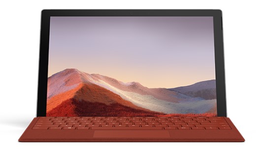 沈河清洁和维护 Surface